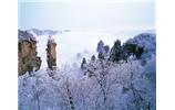 春節(jié)旅游：張家界、袁家界、天子山、寶峰湖/黃龍洞度假二晚三日游